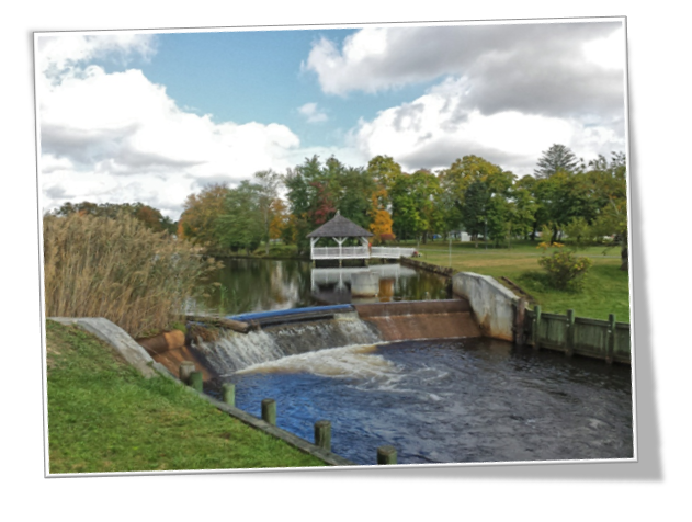 Pheasant Run Barnegat Adult Community
